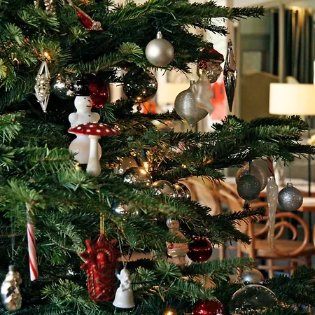 Regina Boutiquehotel Otel