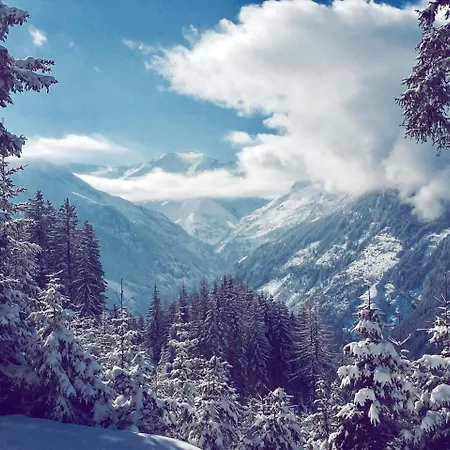 Regina Boutiquehotel ホテル バードガシュタイン