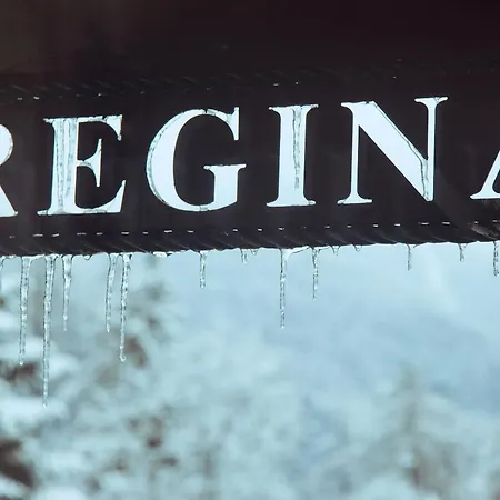 Regina Boutiquehotel Отель 4*